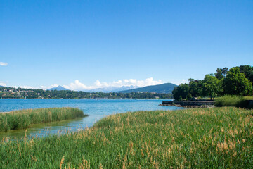 View over lake Geneva from Mon Repos park, Switzerland.