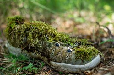 Eco-friendly footwear or just a sneaker covered in moss. 
-Massachusetts 