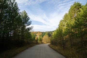 Autumn colorful leaves on the ground and on the trees. Slovakia