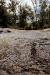 water flowing in the forest