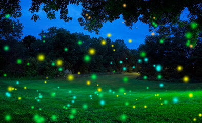 Summer Night Sky Full of Glowing Fireflies and Lightning Bugs