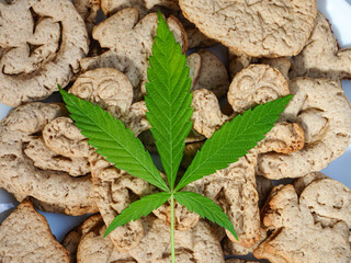 homemade halloween cookies green cannabis leaf
