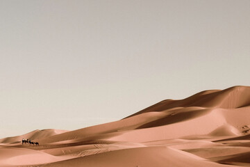 Sahara Trek