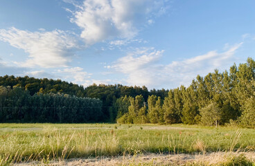 The green mountainous landscape. Green meadow. The background of green trees with the blue sky. stationery. Space for text. Luberon, Provence, France.