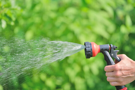 hand holds a hose with a spray nozzle for water with flowing jets of water on the background of a garden and green plants