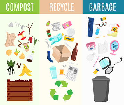 Recycable, compost and garbage infographic illustration. Types of waste sorting