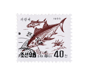 Cancelled postage stamp printed by North Korea, that shows Atlantic Bluefin Tuna (Thunnus thynnus),...