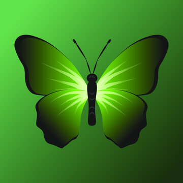 Green Butterfly Images – Browse 593,726 Stock Photos, Vectors, and Video |  Adobe Stock