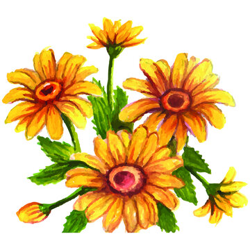 hand drawn illustration sun flowers