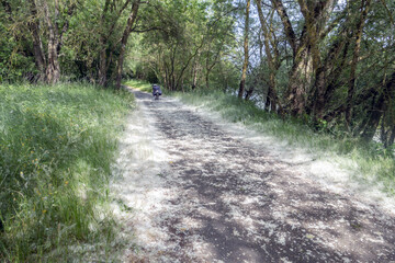 Obraz premium Voyage à vélo au printemps 2022, de début du mois d'avril à la fin du mois de mai sur les pistes cyclables et vélo-routes du sud de la France., boucle touristique de 3416 kms .