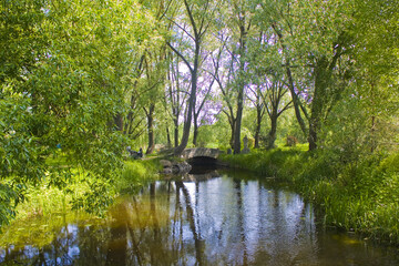 Park with a river near Radomysl Castle in Ukraine	

