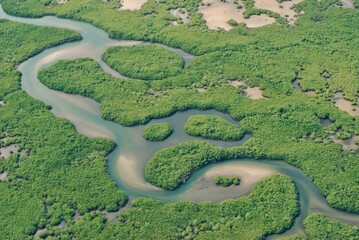 La mangrove du Parc National du Delta du Saloum vu du Ciel, Senegal.