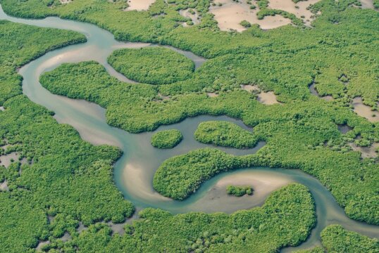 La mangrove du Parc National du Delta du Saloum vu du Ciel, Senegal.