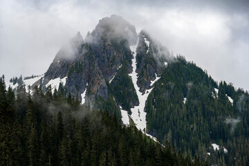 Mt Rainier National Park