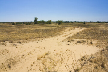 Oleshkiv Sands National Nature Park in the Kherson Region in Ukraine	