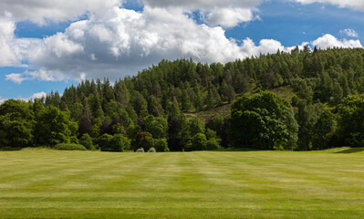 Fototapeta na wymiar Eine saftig grüne Wiese in Schottland