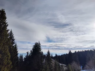 Zelfklevend Fotobehang Mistig bos Natuur onder de sneeuw in de winter. Slowakije