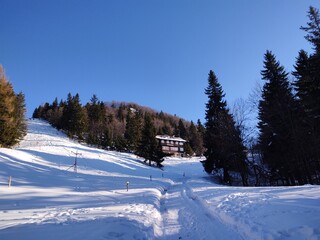 Nature under the snow during winter. Slovakia	