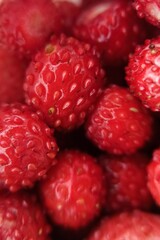 Closeup of red strawberries. Forest berries close-up. Red glossy surface with small grains. Favorite childhood treat.