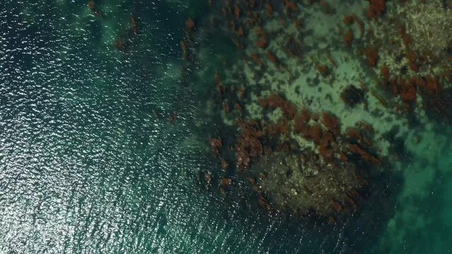 Bretagne - Flying up above the sea and an oyster farm