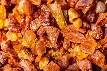 Small amber stones found in the Baltic Sea.