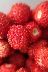 Closeup of red strawberries. Forest berries close-up. Red glossy surface with small grains. Favorite childhood treat.