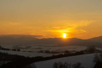 Nature under the snow during winter. Slovakia