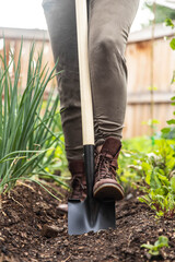 digging in the garden