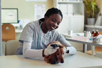 Portrait of smiling young veterinarian examining senior dog in vet clinic, pet health check up,...
