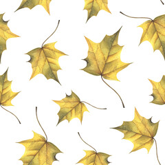 Watercolor seamless pattern with fall leaves. Autumn gold maple leaf. Isilated on white background.