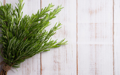 Rosemary plant on the table. Medicinal plants.