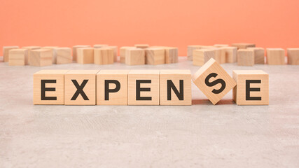 EXPENSE word written on wood block - text on wooden table for your desing, concept.