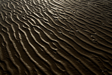 texture of sand