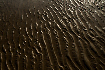 texture of sand