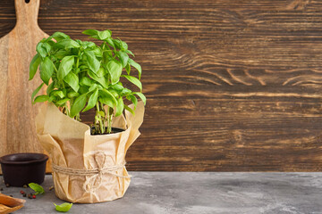 Fresh green basil plant in pot on wooden background, space for text.