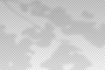 Shadow of leaf from window. Leaves shadow isolated on transparent background. Sunlight trees for effect overlay. Plant shade. Natural foliage for summer mockup. Indoor planting. Vector illustration