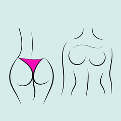 body contour of the naked female figure, front and back vector illustration