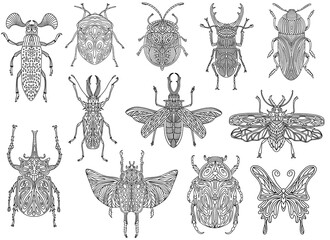 Fototapeta na wymiar A collection of beetles and insects in a linear style. Linear vector illustration of beetles.