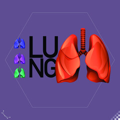 Modern beautiful stylized monotone human lung organ symbols and icons - part of a set