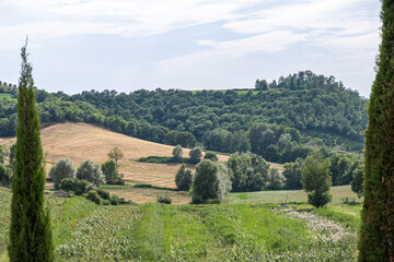 Spectacular view from the top to mown crops field with a green rich forest and cloudy sky in the background and with lush green meadow in the foreground