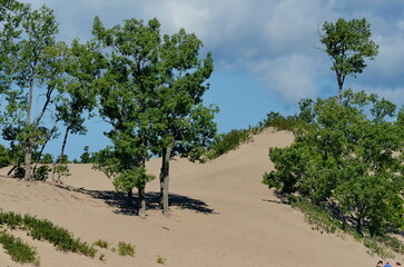 Fototapeta premium Dunes Beach sand dunes at Sandbanks Provincial Park in Ontario, Canada. Sandbanks is the largest baymouth barrier dune formation in the world. It is located on Lake Ontario.