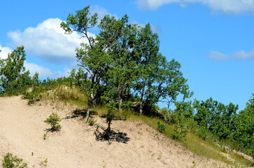 Dunes Beach sand dunes at Sandbanks Provincial Park in Ontario, Canada.   Sandbanks is the largest baymouth barrier dune formation in the world. It is located on Lake Ontario. - obrazy, fototapety, plakaty