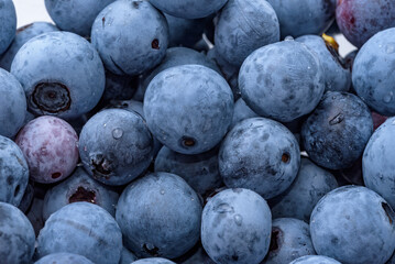 A lot of harvested blueberry fruits