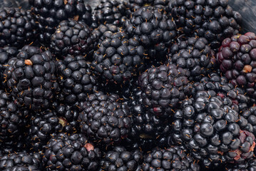 A lot of harvested blackberry fruits