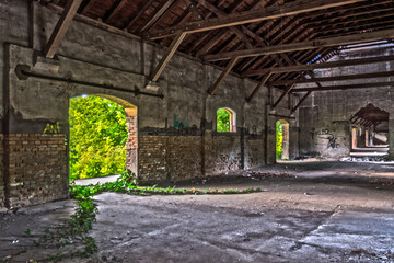Fototapeta na wymiar Door in the empty and ruined hangar with green plant