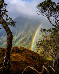 The Rainbow after the rain