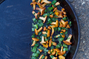 chanterelles with green herbs in a frying pan
