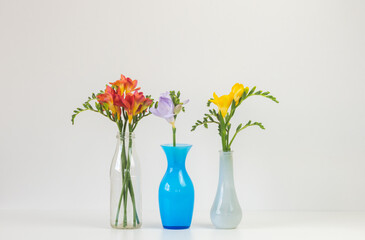 Closeup of colourful freesia flowers in small glass vases against white background (selective focus)