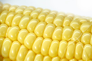 grano de elote amarillo