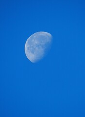 photo concept of the nature in Brazil